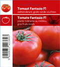 Tomate Fantasio (tray 12 pot)